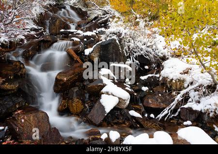 Lundy Canyon waterfall surrounded by fresh snow and autumn colors Stock Photo