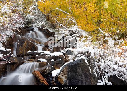 Lundy Canyon waterfall surrounded by fresh snow and autumn colors Stock Photo