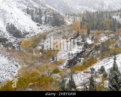 Lundy Canyon waterfall with snow and autumn colors surrounding it Stock Photo