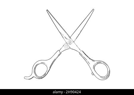 Stainless steel professional hairdresser scissors, sketch style vector  illustration isolated on white background. Hair cutting, hairdresser  professional scissors, tool, attribute Stock Vector | Adobe Stock