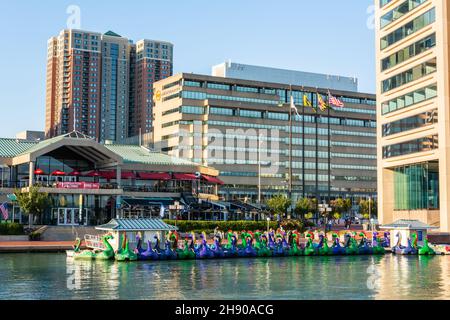 Baltimore, Maryland, United States of America – September 6, 2016. Waterfront in the Inner Harbour of Baltimore, MD. View with the paddle boat rental Stock Photo