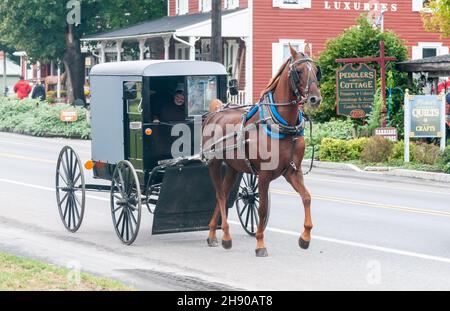 Lancaster, Pennsylvania, United States of America – September 30, 2016. Traditional Amish buggy riding in Lancaster, PA.View with surrounding building Stock Photo