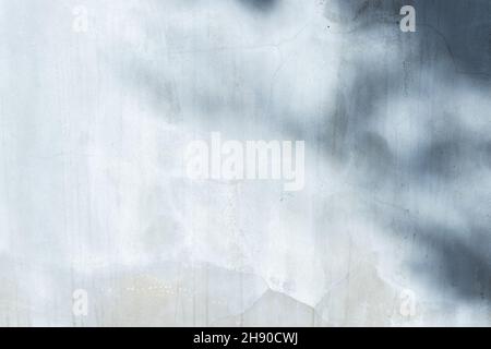 concrete or cement material and leaf shadow on abstract wall background texture. Stock Photo