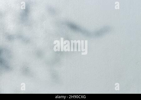 concrete or cement material and leaf shadow on abstract wall background texture. Stock Photo
