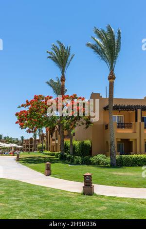 Hurghada, Egypt - May 24, 2021: Five stars Stella Di Mare Beach Resort & Spa Hotel (605 rooms) located in Makadi Bay, which one of Egypt beautiful Red Stock Photo