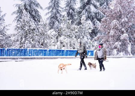 Madrid, Spain - January 9, 2021: People with dogs walking on a highway covered in snow during heavy snowfall. Storm Filomena in Madrid. Arturo Soria a Stock Photo