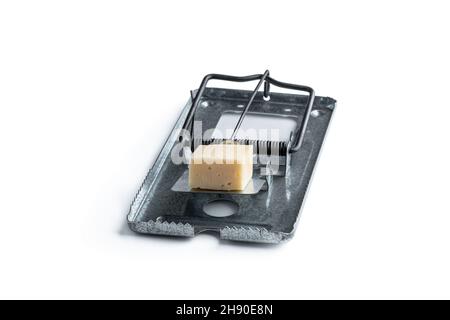 Steel  mouse or rat trap with a piece of cheese bait isolated on white Stock Photo