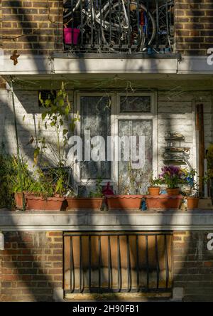 tree casting shadow over the front of a local authority flat in central london, potted plants on a wall on a balcony at a council flat in vauxhall. Stock Photo