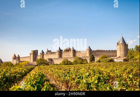 The fortified city of Carcassonne, seen across vineyards in the late afternoon in autumn. Stock Photo