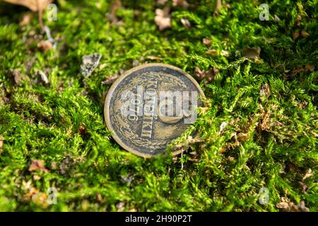 Old coins in the forest on green moss Stock Photo