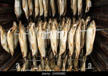 Kippers Hanging in a Wooden Smoking Cabinet. Stock Photo