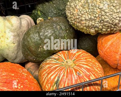 Different kinds of pumpkins displayed in a basket at the market. Stock Photo