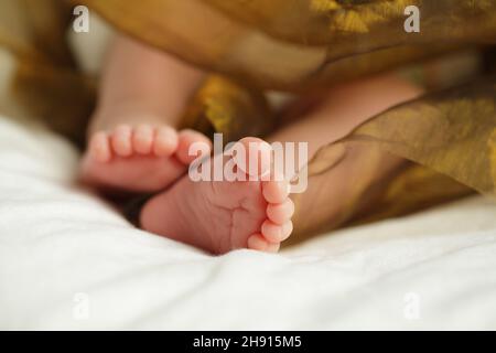 Newborn baby feet under the white blanket, closup of infant barefeet Stock Photo