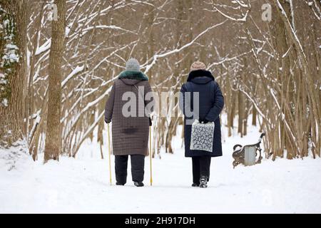 Nordic walking, healthy lifestyle. Two old people in winter park, woman with sticks, cold weather Stock Photo