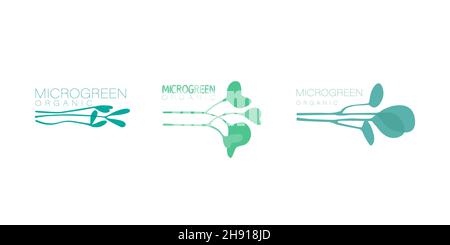 Set of floristic logos for microgreens, symbols of organic products. Mini plants for germination. Vector trendy flat illustrations for design. Stock Vector