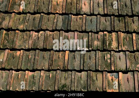 A section of a traditional tiled roof from rural Bengal. Stock Photo