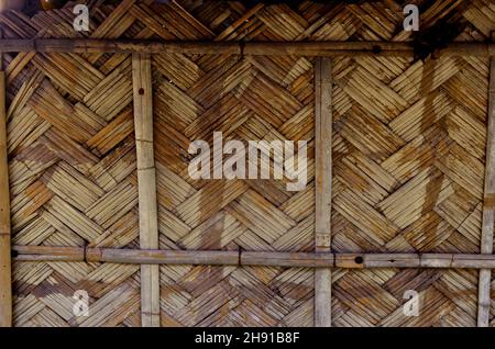 Woven bamboo-mat fences of rural Bengal. Stock Photo