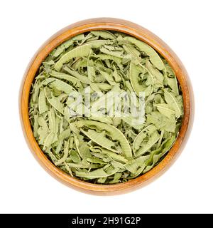 Dried lemon verbena leaves in a wooden bowl. Dry leaves of Aloysia citrodora also known as lemon beebrush. Stock Photo