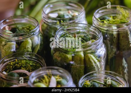 Jars with cucumbers prepared for homemade pickling in Poland Stock Photo
