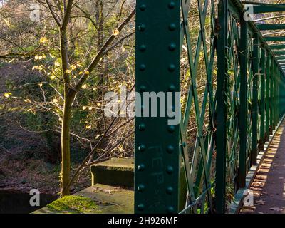 Metal footbridge over the River Derwent near Matlock Bath in the Derbyshire Peak District England UK with tree on one side. Stock Photo