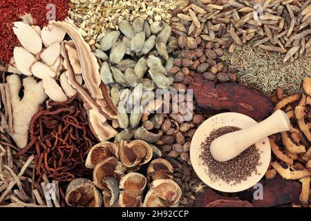 Preparing Chinese herbal plant medicine with herbs and spice used in traditional and natural healing remedies. Alternative health care concept. Stock Photo