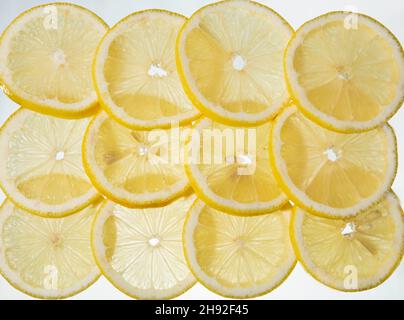 Slices of lemon in an arranged pattern with back lighting Stock Photo