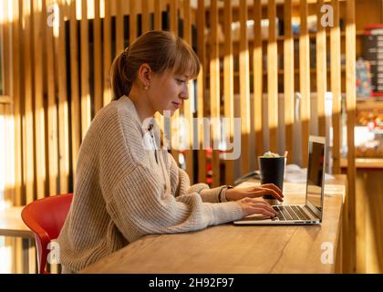 Working from cafe. Having coffee while using laptop in public place. Young female chatting online Stock Photo