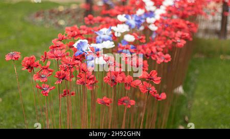 Rows of fake poppies pushed into the gorund on metal spikes with blue and white flowers included Stock Photo