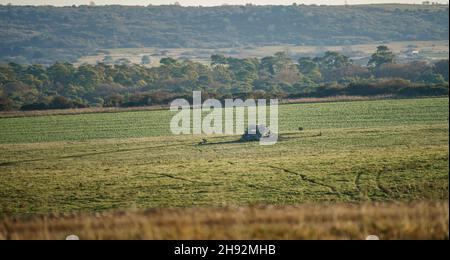British army military AS90 (AS-90 Braveheart Gun Equipment 155mm L131) armoured self-propelled howitzer setting up under camouflage in open field UK Stock Photo