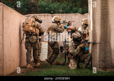 U.S. Service Members with 3d Battalion, 3d Marines and 2nd Squadron, 14th Cavalry Regiment, lay suppressive fire on an oppositional force during a military operations on urban terrain segment at Marine Corps Training Area Bellows, Hawaii, Dec. 1, 2021. Marines with 3/3 conducted a joint training exercise simulating realistic air-assault and urban operations in strategic island terrain with MAG-24 and 2/14. (U.S. Marine Corps photo by Cpl. Patrick King) Stock Photo