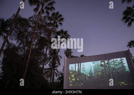 The delights of Mexican Cinema at Casa de Las Delicias with Monica Luna in Alamos Sonora at dusk, during the Alfonso Ortiz Tirado FAOT Festival on Jan 2017 (© Photo: Luis Gutiérrrez)   Las delicias de Cine Mexicano en Casa de Las Delicias con Monica Luna en Alamos Sonora al anochecer, durante el Festival Alfonso Ortiz Tirado FAOT el   ene 2017  (©Foto: Luis Gutiérrrez ) Stock Photo