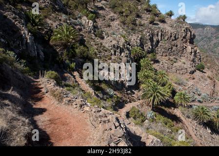 An old camino or pathway leads from Mirador Degollada de Peraza to the Barranco de las Lajas in the east of La Gomera in the Canary Island. Stock Photo