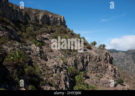 An old camino or pathway leads from Mirador Degollada de Peraza to the Barranco de las Lajas in the east of La Gomera in the Canary Island. Stock Photo