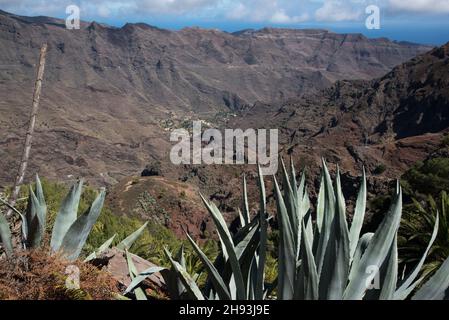 An old camino or pathway leads from Mirador Degollada de Peraza to the Barranco de las Lajas in the east of La Gomera in the Canary Island. Stock Photo