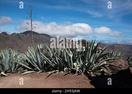 An old camino or pathway leads from Mirador Degollada de Peraza to the Barranco de las Lajas in the east of La Gomera in the Canary Island. Stock Photo