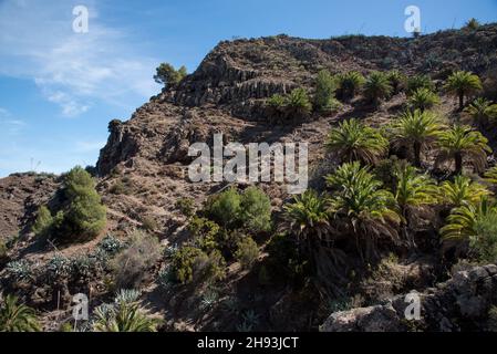 An old camino or pathway leads from Mirador Degollada de Peraza to the Barranco de las Lajas in the east of La Gomera in the Canary Island. Stock Photo