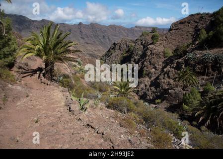 An old camino or pathway leads from Mirador Degollada de Peraza to the Barranco de las Lajas in the east of La Gomera in the Canary Island. Stock Photo