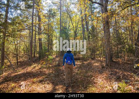 Nature autumn fall color of Robbers Cave State Park at Oklahoma Stock Photo