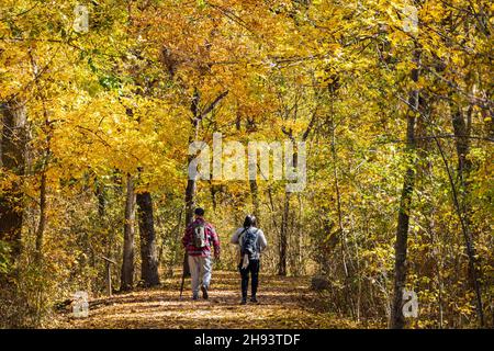 Fall color of the nature trail in Chickasaw National Recreation Area at Oklahoma Stock Photo