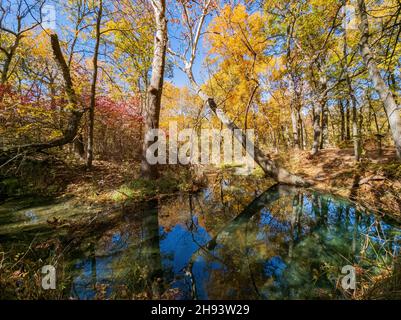 Fall color of the nature trail in Chickasaw National Recreation Area at Oklahoma Stock Photo