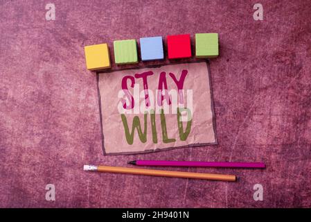 Sign displaying Stay Wild. Concept meaning keep being you and doing what  you're doing Never want to change Stock Photo - Alamy