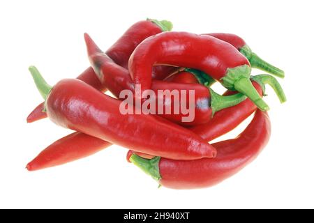 Pile of small pods of fresh  red chili peppers . Isolated on white studio macro shot Stock Photo