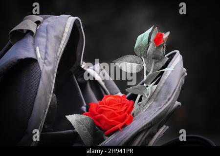 red rose in bag image