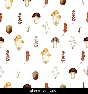 Watercolor forest elements. Cute woodland mushrooms, leaves and brunches on white background. Use for textile, nursery, wallpapers, wrappers. Stock Photo