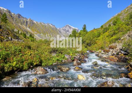 Stream water flows between boulders in the mountain tundra. Eastern Sayan. Buryatia. Russia Stock Photo