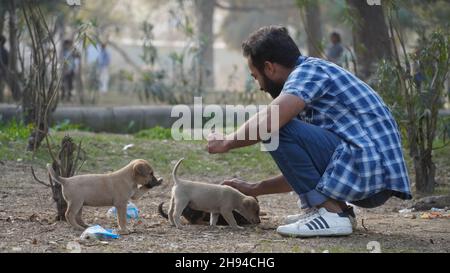 young boy playing with puppies guitar and in park Stock Photo