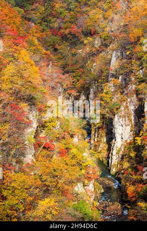 The Naruko Gorge valley with rail tunnel in Miyagi Tohoku Japan Stock Photo