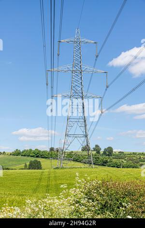 Elecricity pylons and power lines against a blue sky in the valley of the infant River Coln, near Withington, Gloucestershire UK Stock Photo