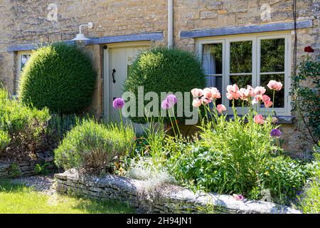 A traditional stone cottage front garden in the Cotswold village of Withington, Gloucestershire UK Stock Photo