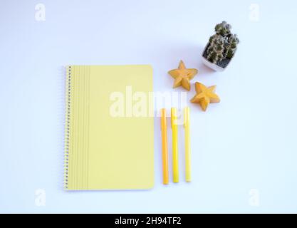 Yellow theme, yellow notebook, three pens, two stars and a cactus isolated on white background, doing homework Stock Photo